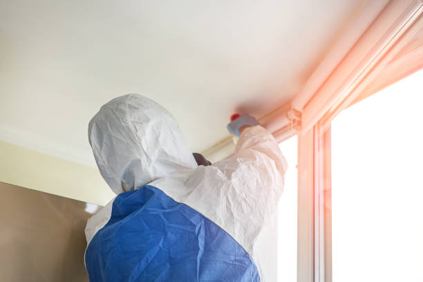 Why You Should Choose Our Mold Remediation Services in Pixley, CA